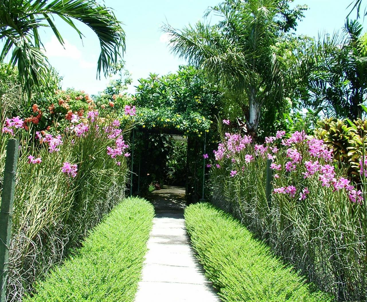 Plants for home garden