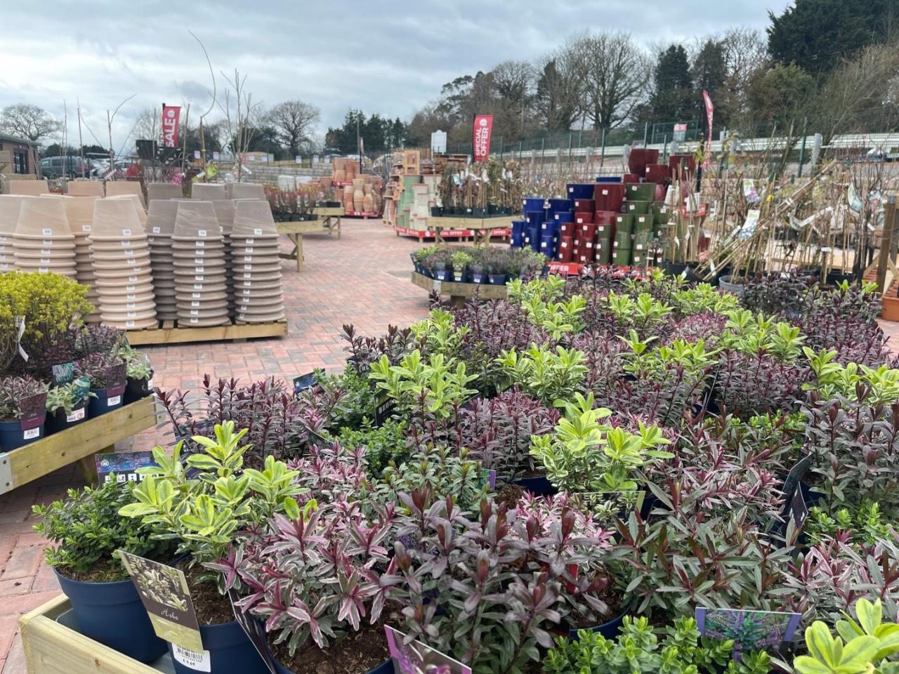 Homeleigh story departments Homeleigh garden centre