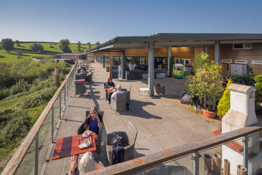Homeleigh launceston centre garden tripadvisor Homeleigh garden centre
