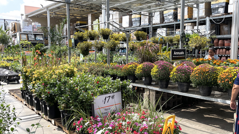 Home depot garden center